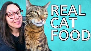 What should I feed my cat? by Jess Caticles 990 views 3 months ago 6 minutes, 48 seconds