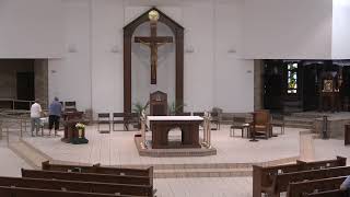 Holy Mass - Tuesday, July 7, 2026