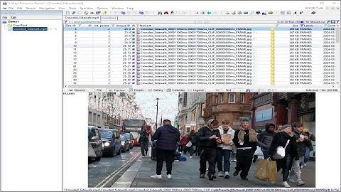 Video Playback within X-Ways Forensics Using Exponent Faces X-Tension