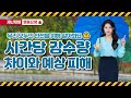 [재난&재해] '시간당 강수량'에 따른 차이와 예상 피해
