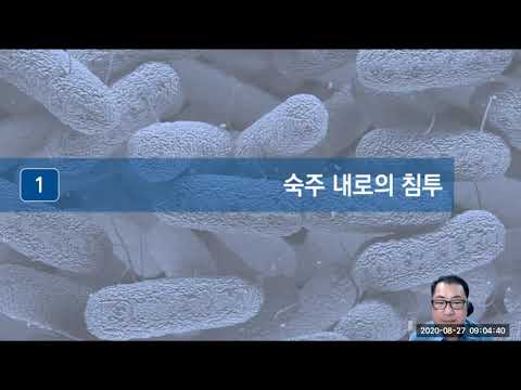 제14장 세균에 의한 발병기전20200827