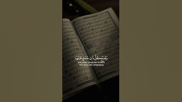 #قران_كريم#تلاوة_هادئة#القارئ#احمد_النفيس#صوت_جميل#quran#shortvideo