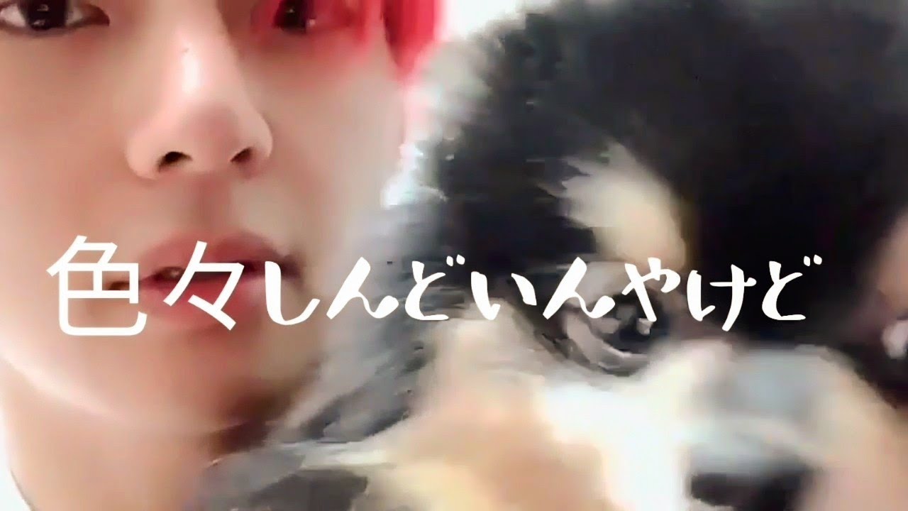 ナムジン夫妻🐨🐹とグテ🐰🐯もう黙っちゃいられない口悪きタニ様降臨。