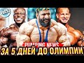 Победа МИХАИЛА КРИЗО | Нереальный ШОН КЛАРИДА | Наступает время ХАДИ ЧУПАНА