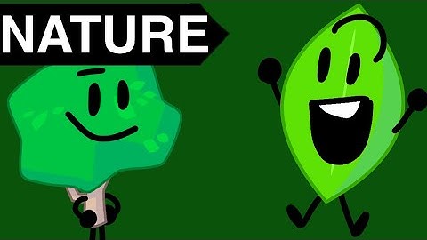 BFB Viewer Voting Series (Part 67)