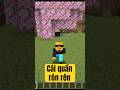 Cái quần rón rén #minecraft
