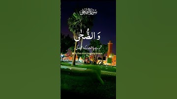 قرآن كريم #قرآن #اكسبلور #لايك #اكسبلورر #راحة_نفسية #اكسبلوررررر #دويتو #تيك_توك #duet #الصلاة