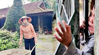 Download Lagu Full video: The day the little boy Voi was with his mother after many years apart MP3 Download Lagu Full video: The day the little boy Voi was with his mother after many years apart MP3