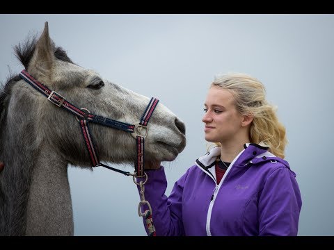 Bit beleeft paardencoaching