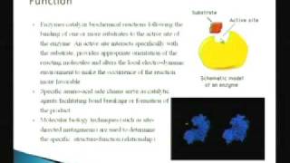 ⁣Mod-01 Lec-08 Biochemistry & Thermodynamics of Enzymes