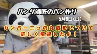 パンダ主任のパン作り　カンパーニュの丸成形を詳しく解説