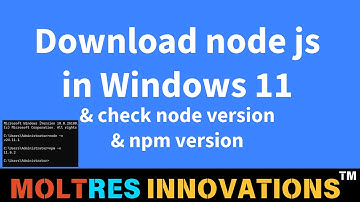 How to Install Node.js on Windows