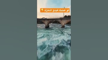 #ارح_قلبك #اكسبلور #سورة_الملك #قصص #قطط #ماهر_المعيقلي #دويتو #انمي #روبلوكس #ترند
