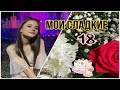 Мои сладкие 18