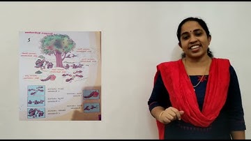 Std1 Mathematics Unit 2 Class09 White Board CP