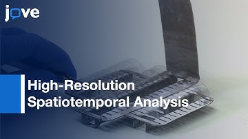 Receptor Dynamics By Single-Molecule Fluorescence Microscopy l Protocol Preview