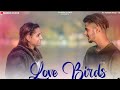 Love birds  music by faheem vlogs  trending