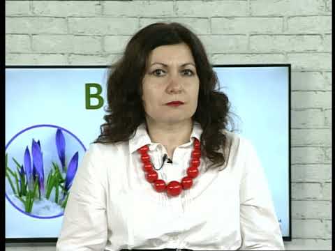 Ранок-панок. Мовна хвилинка. Вислів "І ти сюди руку приклав?..."
