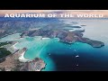 Exploring the 5 million year old sea and its 900 species  islands in a desert sea