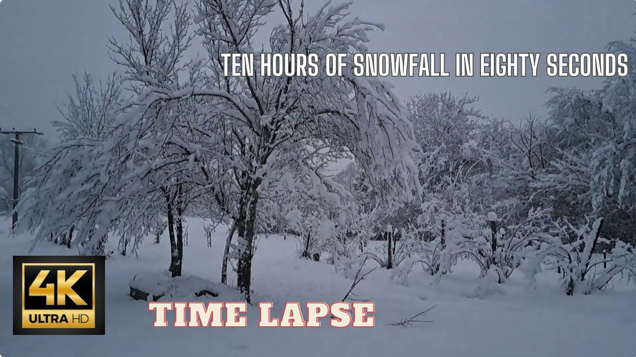 ☃️ Time Lapse - Ten hours of snowfall in eighty seconds ☃️ #timelapse # ...