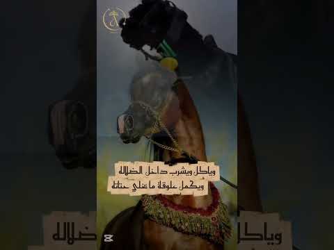 تراث ليبي النجع العود كلمات علي الكيلاني حسن مناع عشاق الفن الليبي Libyan Songs Page Libya