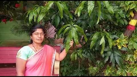 Science Bridge Course (2)