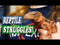 Top 5 CHALLENGES of Owning Reptiles!