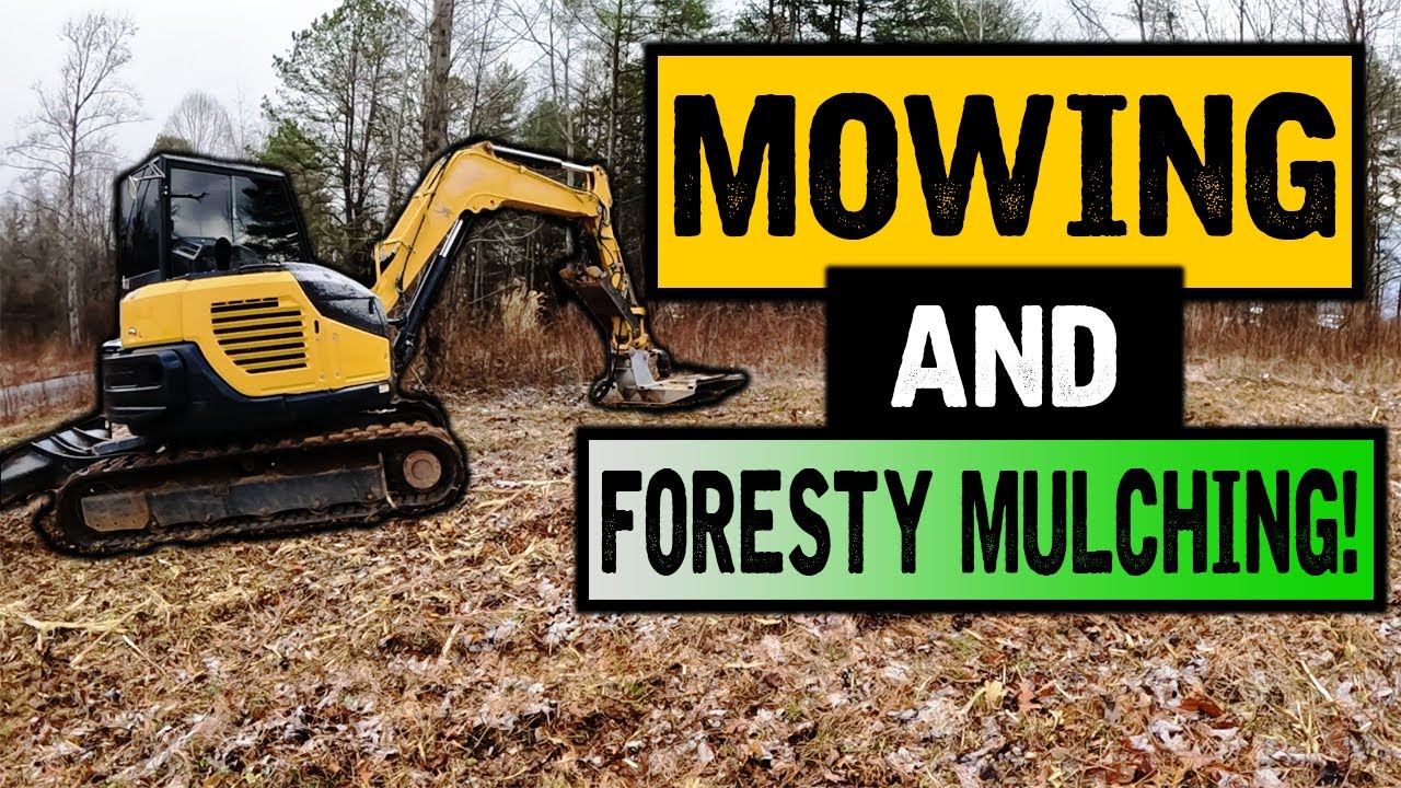 First day mowing with the Brand New CAT309 using Bush Master & Fecon head!! | DigginLife21