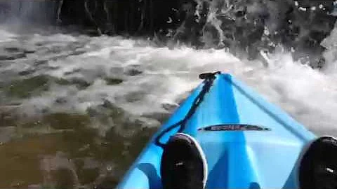 Vivian kayaking up close