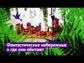 Нью-Йоркское чудо: реконструкция промзоны