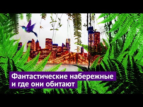 Видео: Нью Йорк дахь Алдарт High Line паркад зориулсан ZinCo Floradrain® систем