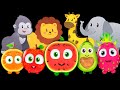 Animals dance party   watermelon  funky fruits baby sensory  fun with music and animation 