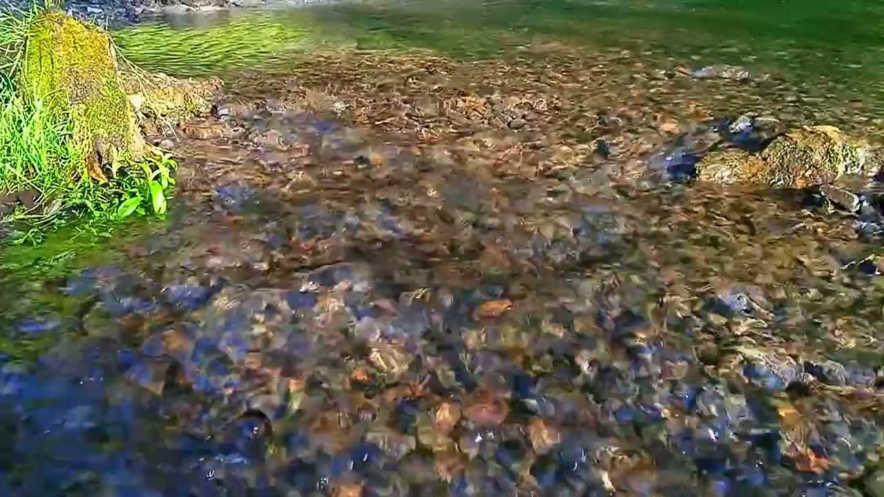 Расслабляющие 4K  звуки Природы Для сна и медитации | Звук воды Избавление от стресса