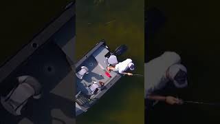 Starweld Fishing Boat Bretz Rv & Marine