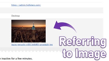 Referering to Data entered in Chatbot | Tars HelpDocs