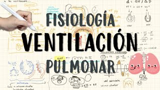 RESPIRATORY PHYSIOLOGY: PULMONARY VENTILATION