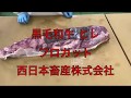 職人技 黒毛和牛 ヒレ 【シャトーブリアン】解体 スペック 商品化 プロカット