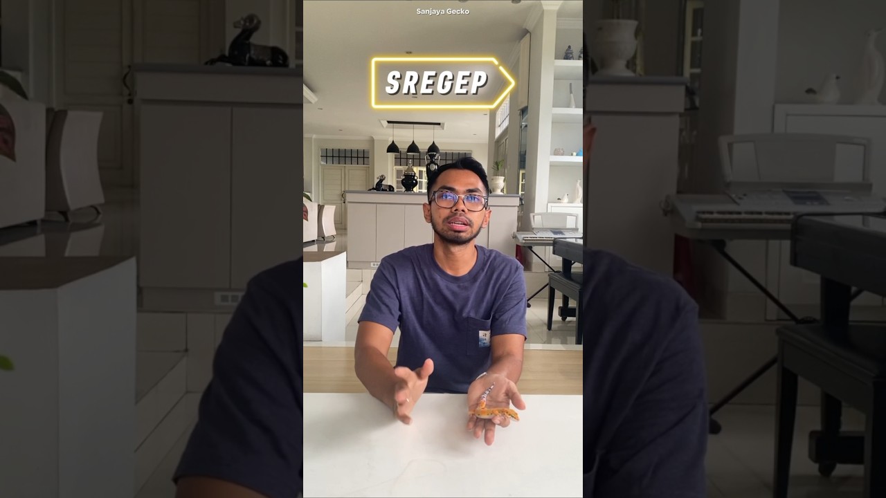 Hypo Emerine ✨🦎