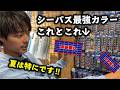 【高橋優介】若手No.1シーバスプロがぶっちゃけた