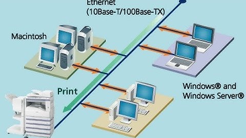 Networking lesson 29  Share Printer & Network Printer Setup