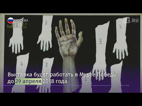 В Музее Победы открылась выставка в память о жертвах холокоста