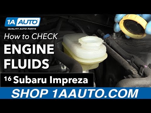 How to Check Engine Fluids 11-16 Subaru Impreza