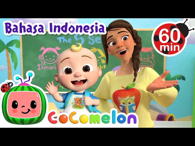 Belajar Panca Indra di Sekolah! | CoComelon Bahasa Indonesia - Lagu Anak Anak | Nursery Rhymes class=