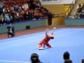 Le meilleur kung fu au monde