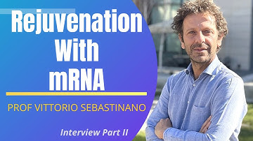 Rejuvenation With mRNA | Prof Vittorio Sebastiano Interview Series 2 Ep2