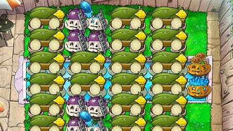 classic 20 cob setup | pool endless