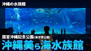 【沖縄旅行ガイド】世界に誇る沖縄美ら海水族館！意外と知らない楽しみ方やお得なクーポンでジンベエザメを見に行こう【観光スポット紹介】