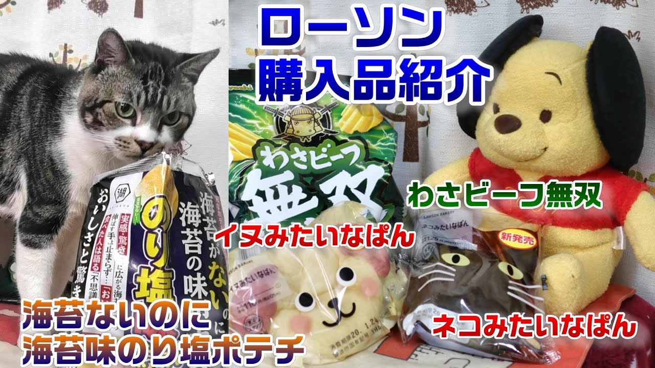 ローソンの気になる新商品をリキちゃんと見てみよう ネコみたいなぱん イヌみたいなぱん わさビーフ無双 海苔が無いけど海苔の味がするのり塩ポテト 猫と一緒に購入品紹介 Youtube