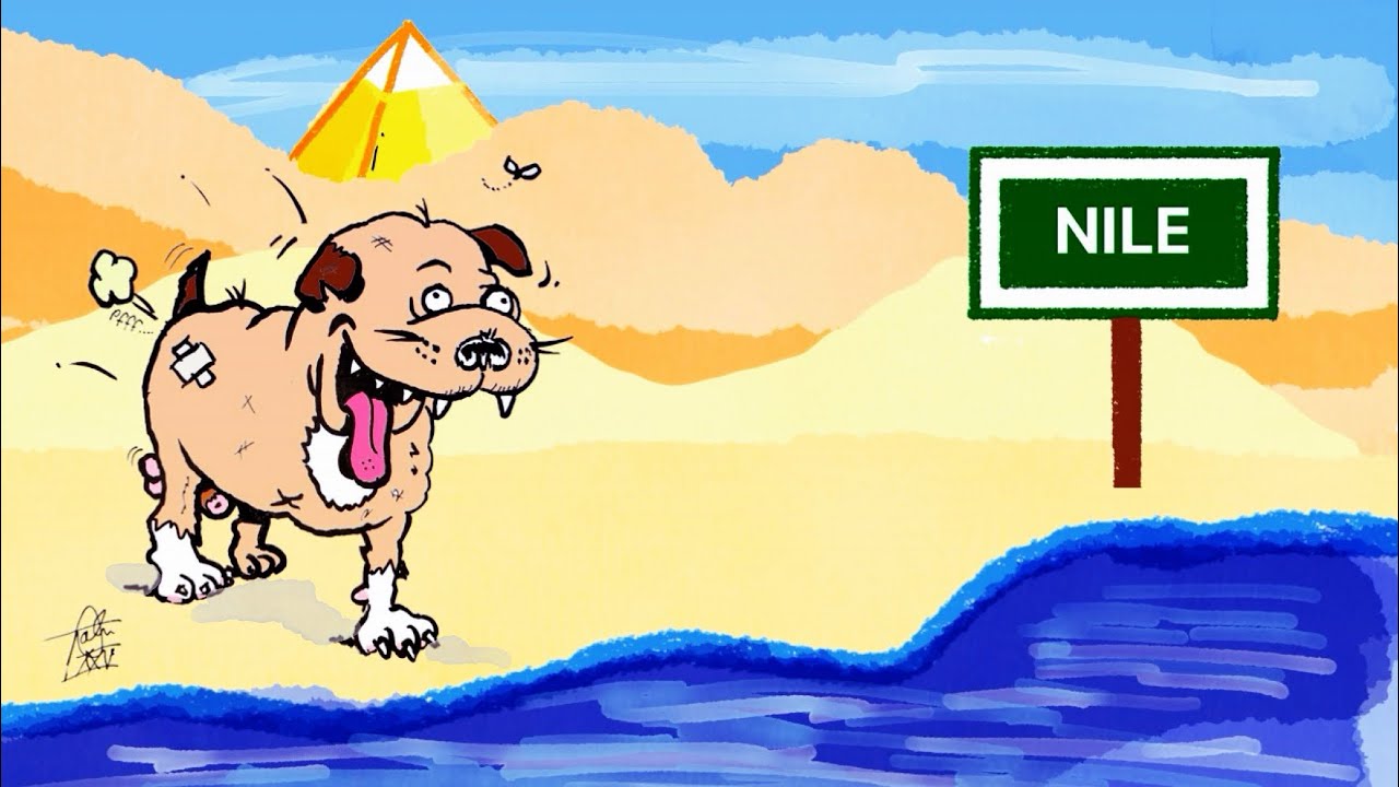 A Oslo Harbour Walk and 2 HUGE Vinyl Surprise Finds!