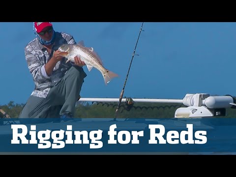 Inshore Redfish Action - Florida Sport Fishing TV - Best Rigs, Baits, Tactics